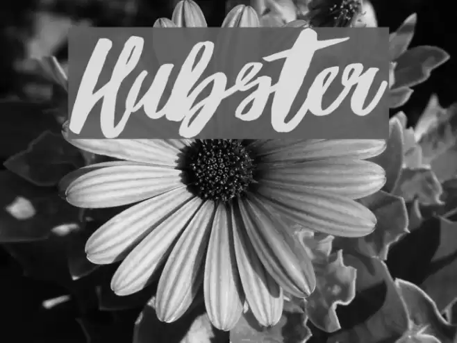 Hubster Font examples