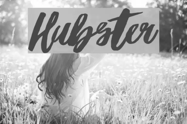 Hubster Font examples