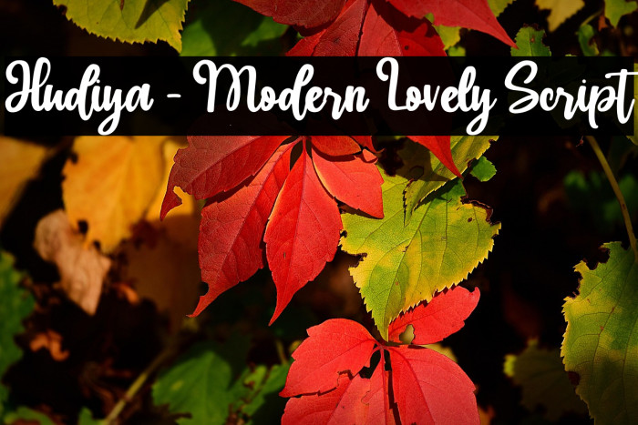 Hudiya - Modern Lovely Script Example 1