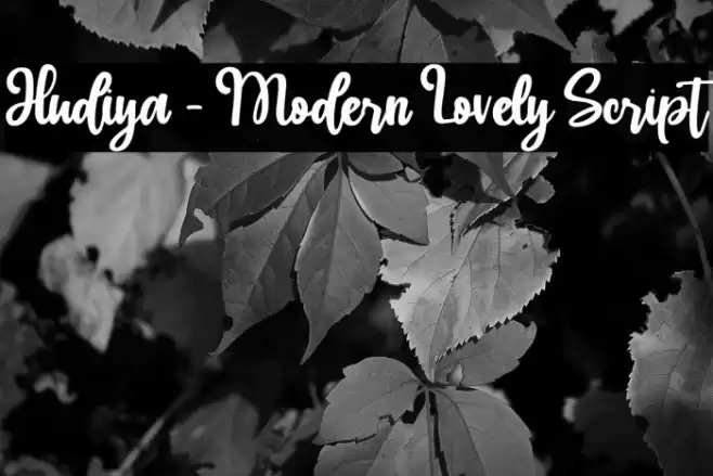 Hudiya - Modern Lovely Script Font examples