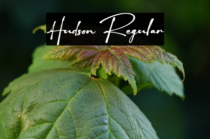 Hudson Regular Example 3