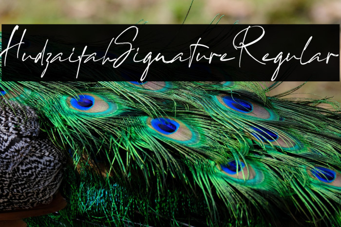 HudzaifahSignatureRegular Example 2