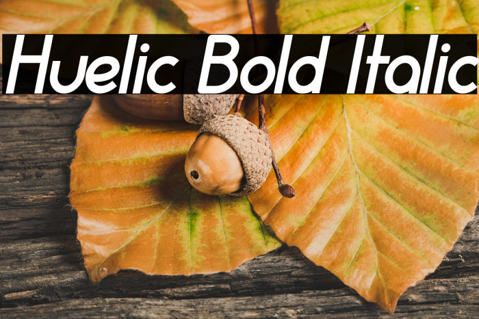 Huelic Bold Italic Example 1