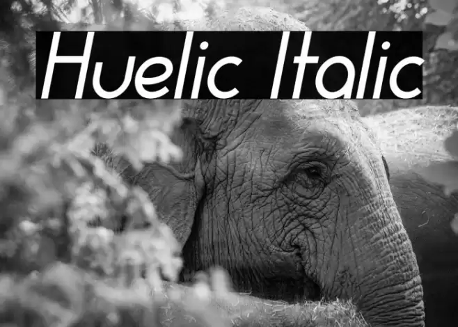 Huelic Italic Font examples