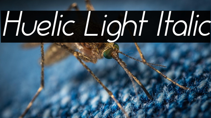 Huelic Light Italic Example 2