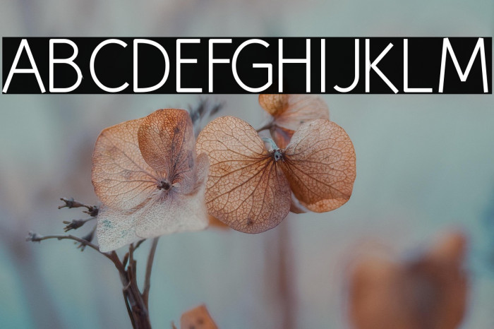 Huelic Light Example 3