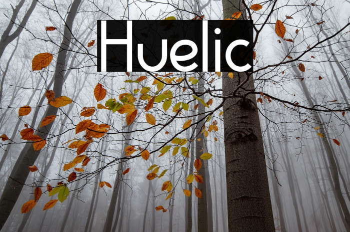 Huelic Example 2