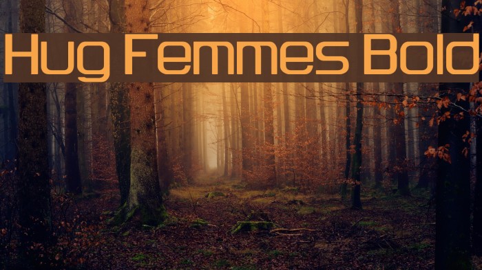 Hug Femmes Bold Font examples