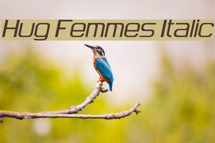 Hug Femmes Italic Font examples