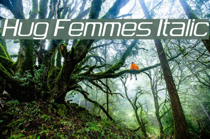 Hug Femmes Italic Font examples