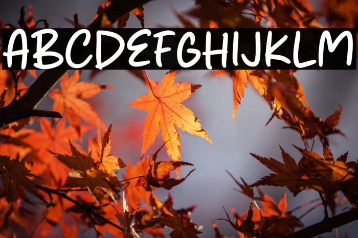 Huge Salmon Example 2