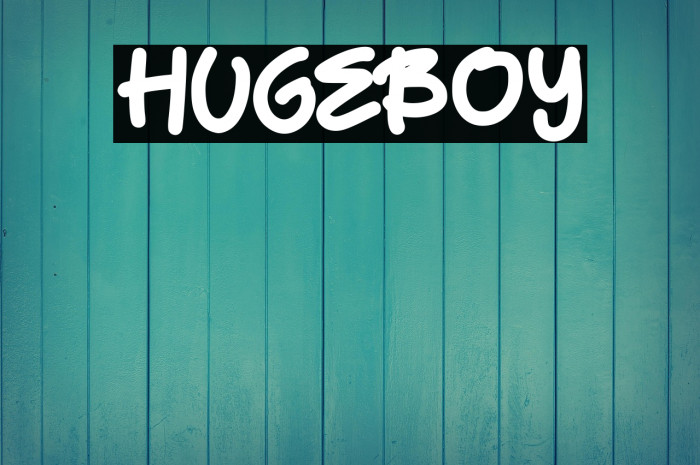 HugeBoy Example 1