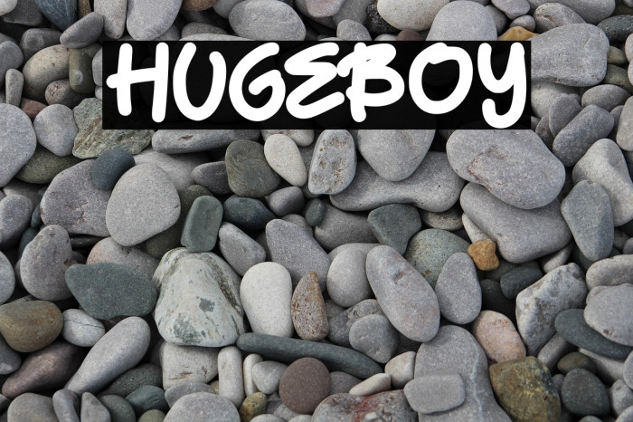 HugeBoy Example 2