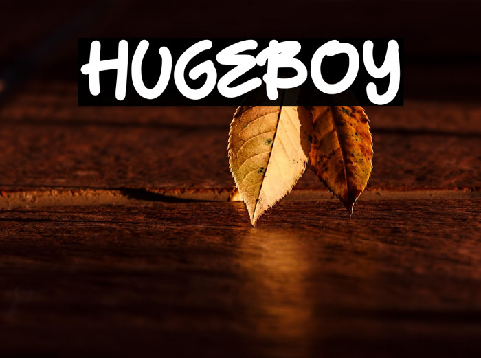 HugeBoy Example 3