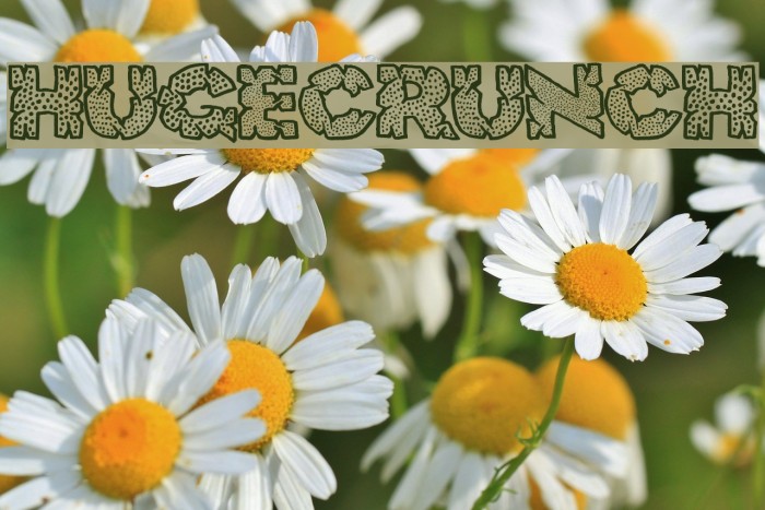 HugeCrunch Font examples
