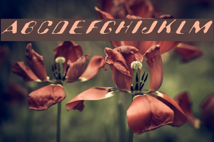 Hugenick Font examples