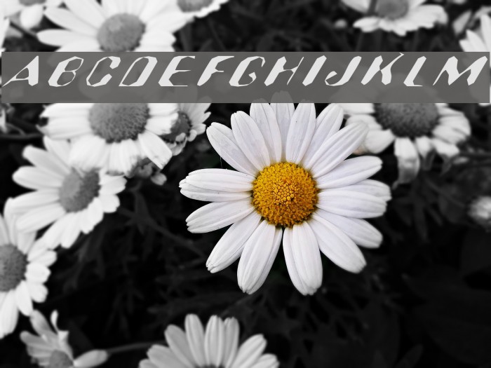 Hugenick Font examples