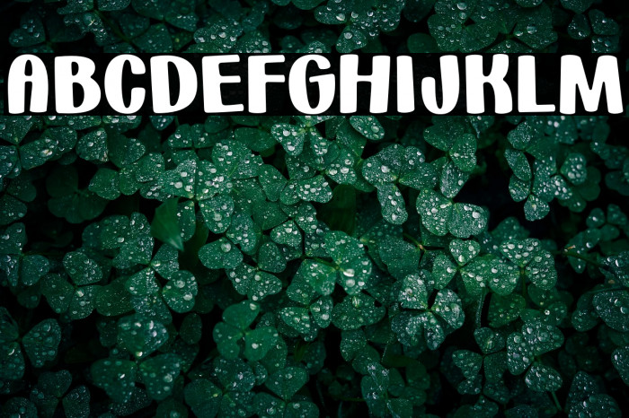 HuggableHedgehogsDemo-Regular Example 2