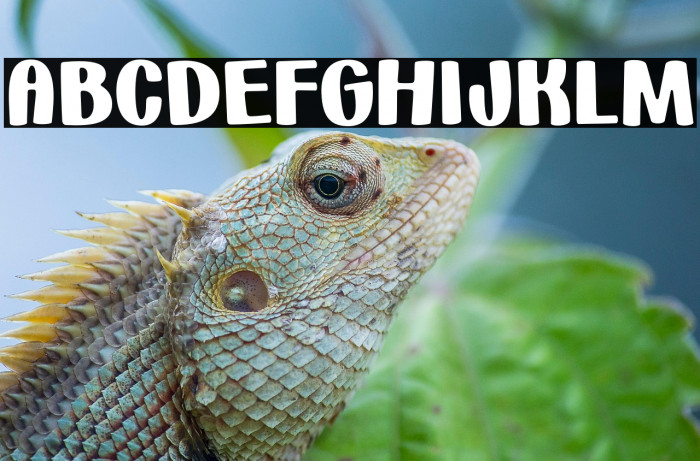 HuggableHedgehogsDemo-Regular Example 3