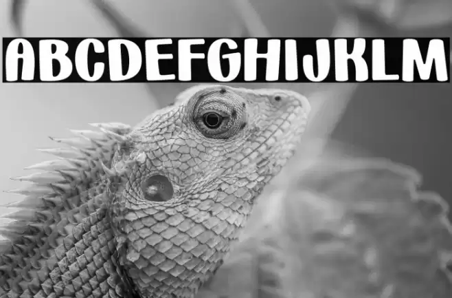 HuggableHedgehogsDemo-Regular Font examples