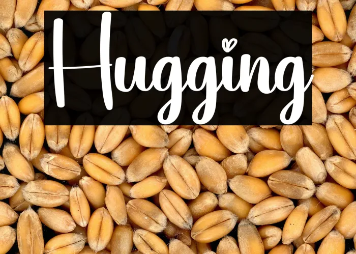 Hugging Example 3