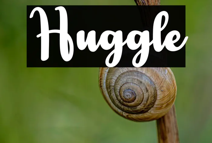 Huggle Example 1