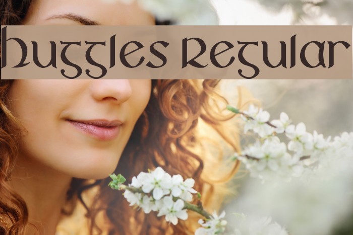 Huggles Regular Example 2