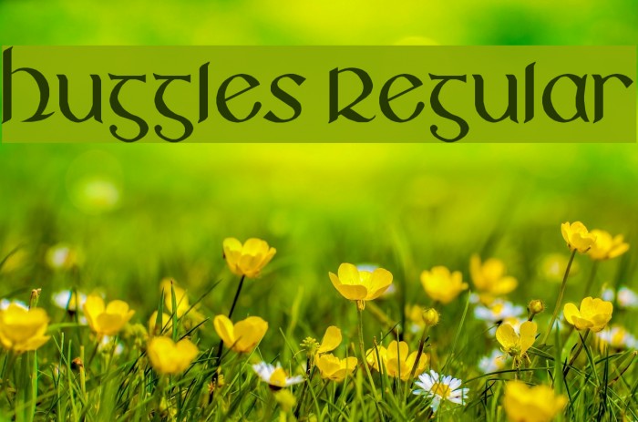 Huggles Regular Example 3