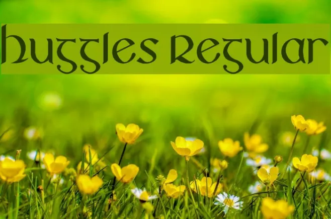 Huggles Regular Example 3