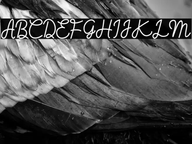 Hugh Pillow Font examples