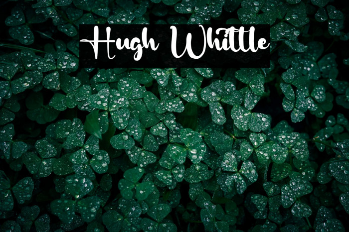 Hugh Whittle Example 1