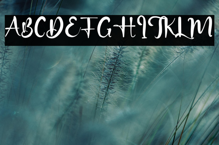 HughWhittle Example 3