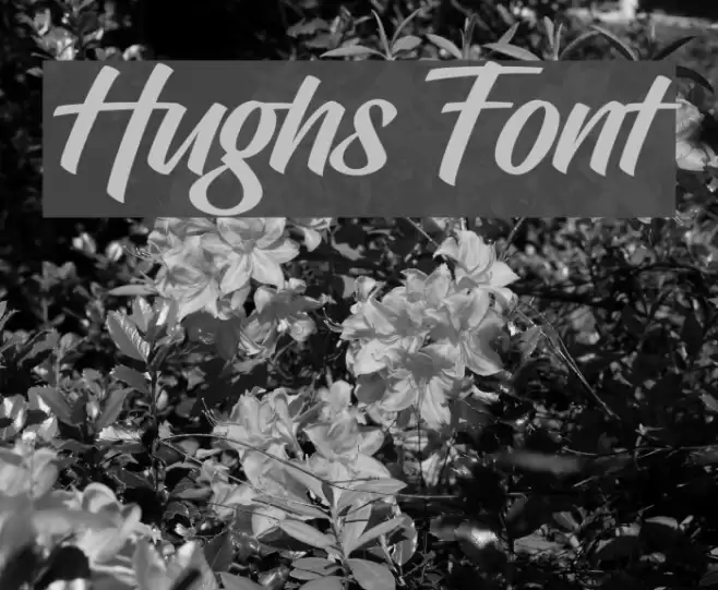 Hughs Font examples
