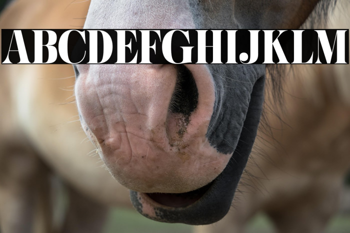 Hugiller DEMO Example 3