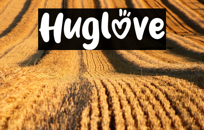 Huglove Example 1