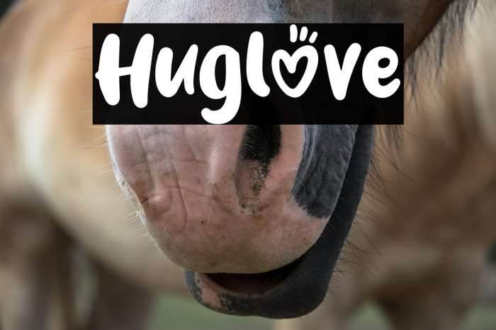 Huglove Example 2
