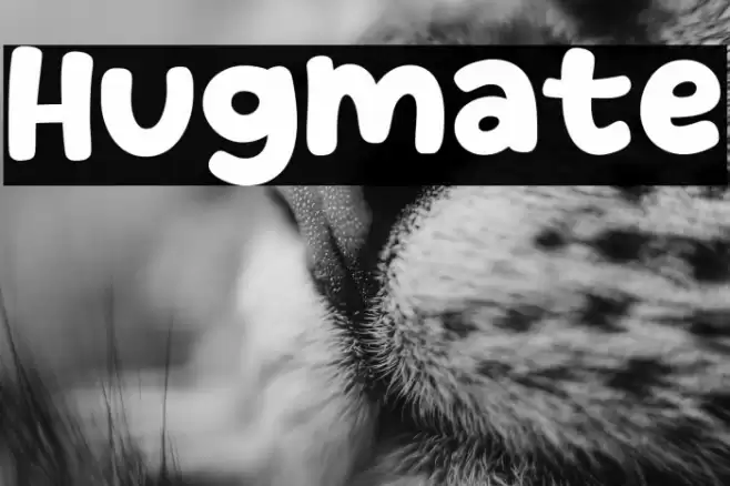 Hugmate Font examples