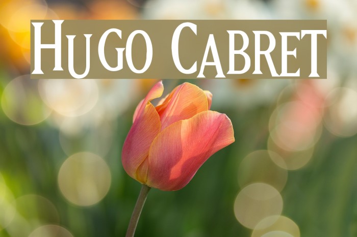 Hugo Cabret Font examples