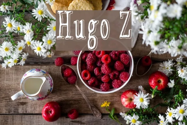 Hugo Z Example 1