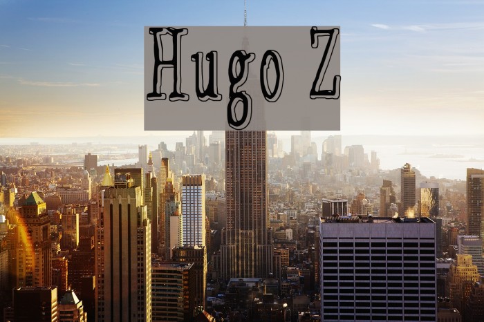 Hugo Z Example 2