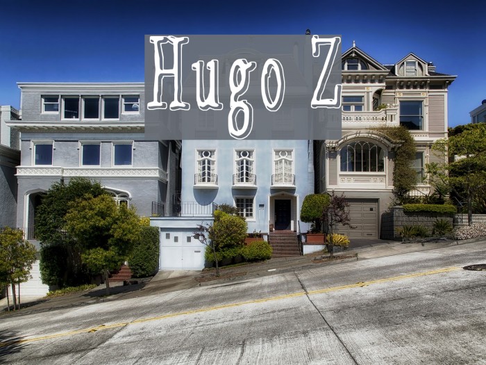 Hugo Z Example 3