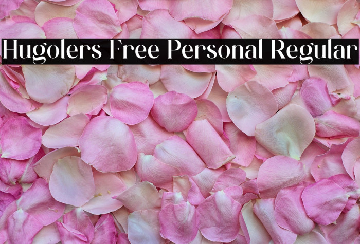 Hugolers Free Personal Regular Example 1