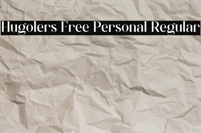 Hugolers Free Personal Regular Example 3