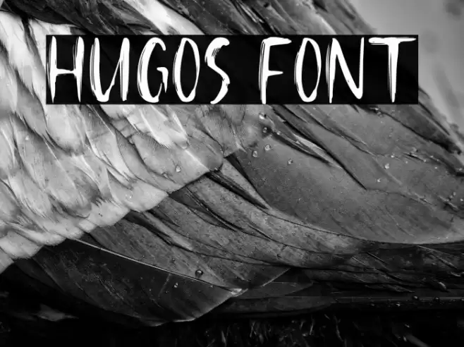 Hugos Font examples