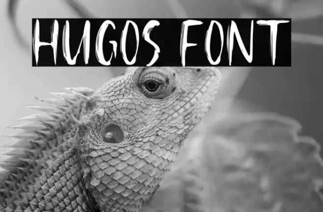 Hugos Font examples