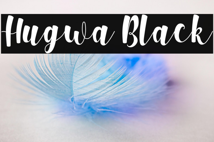 Hugwa Black Example 1