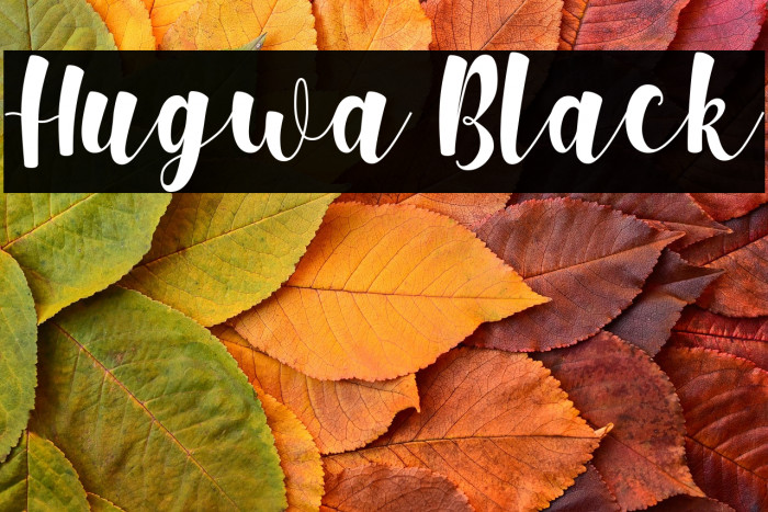 Hugwa Black Example 3