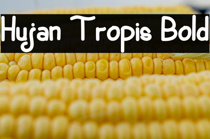 Hujan Tropis Bold Example 1