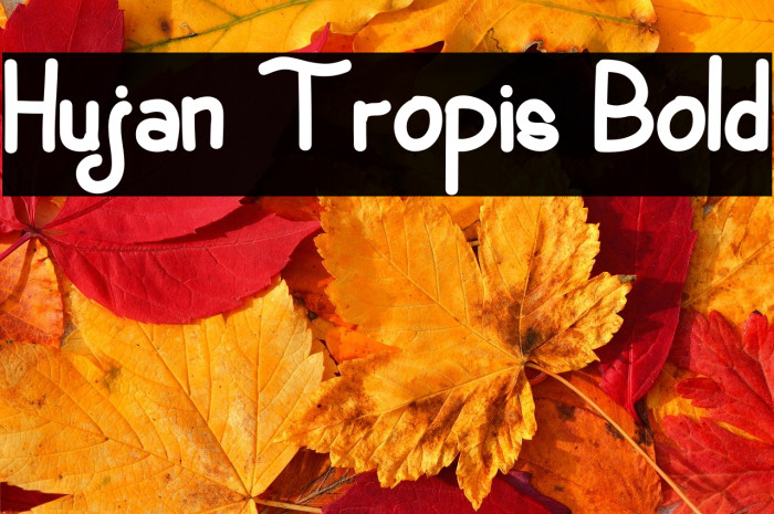 Hujan Tropis Bold Example 3