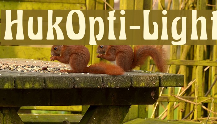 HukOpti-Light Font examples